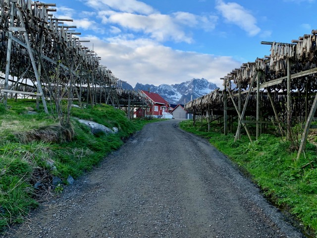 Stockfish, ‎⁨Heimøya⁩, ⁨Henningsvær⁩, ⁨Norway⁩